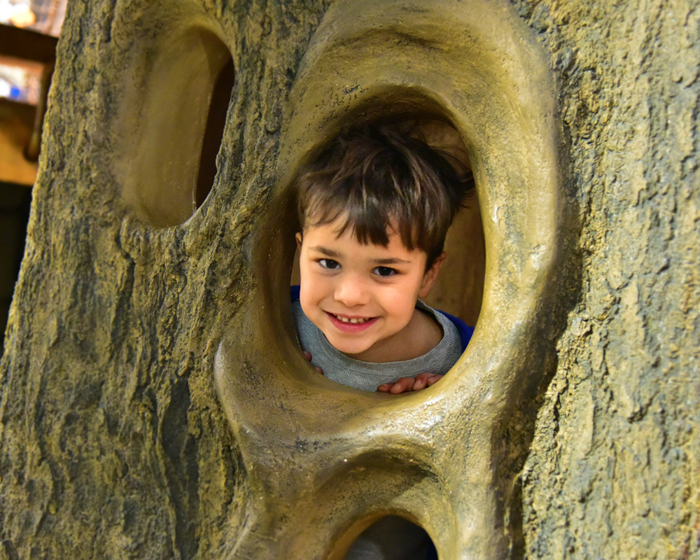 Young boy with brown hair peeking through hole in plastic play tree