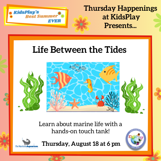 Life Between the Tides. Learn about marine life with a hands-on touch tank. Thursday, August 18 at 6 P.M.