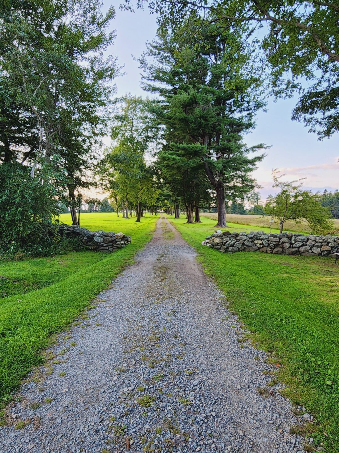 A photo of Topsmead State Forest, a great spot for Northwest Connecticut hiking with kids. A gravel path lined with mowed green grass and lined with tall trees stretches straight ahead. Part of a stone wall is visible and the sky in the background is blue.