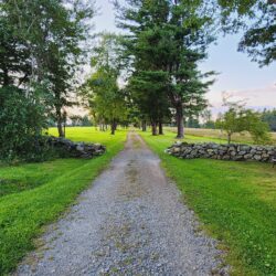 A photo of Topsmead State Forest, a great spot for Northwest Connecticut hiking with kids. A gravel path lined with mowed green grass and lined with tall trees stretches straight ahead. Part of a stone wall is visible and the sky in the background is blue.