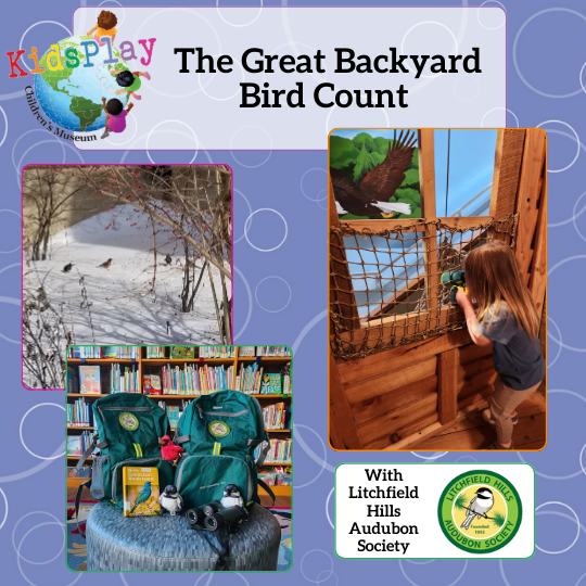 Great Backyard Bird Count with Litchfield Hills Audubon Society